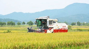 農(nóng)機(jī)銷售季 為國產(chǎn)品牌打call，助力農(nóng)業(yè)現(xiàn)代化新征程